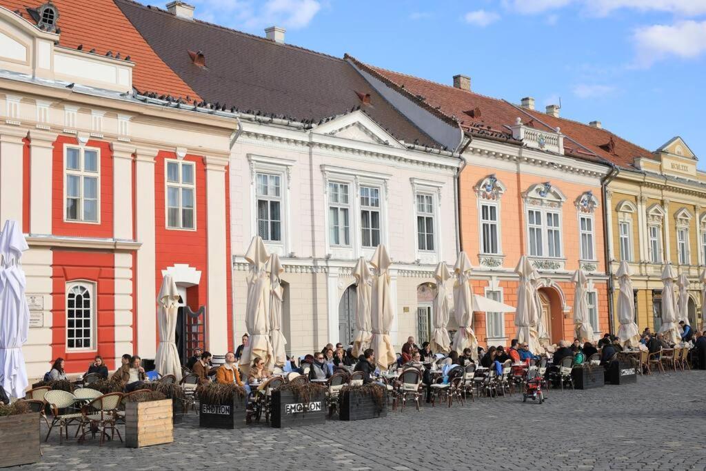 Charming Apartment In Historical City Center Тимишоара Экстерьер фото